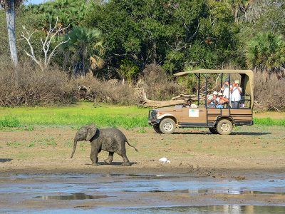 Zanzibar-Selous Zanzibar-Selous
